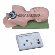 電子人體氣管插管訓練模型